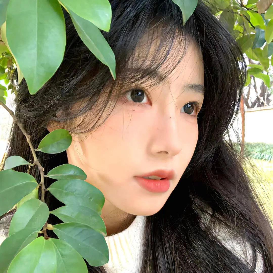 淑女绅士