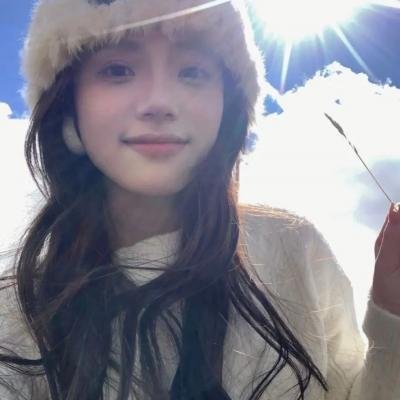 官方机密